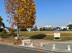 宮の池公園